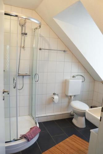 a bathroom with a toilet and a glass shower at Studio an der Ilmenau in Lüneburg