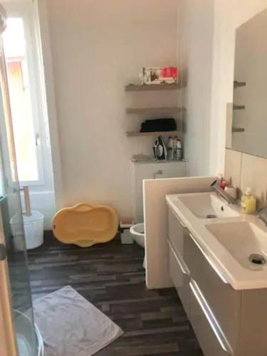 une salle de bain blanche avec des toilettes et un lavabo dans l'établissement L'isenbart, appartement de charme et central, à Besançon