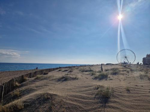 a beach with a ferris wheel and the ocean at Appartement front de mer in Le Barcarès