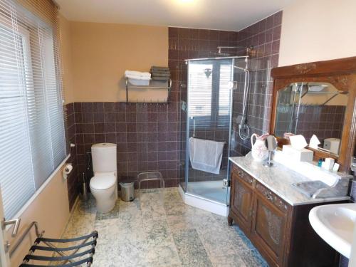 a bathroom with a shower and a sink and a toilet at Hotel Golden Dragon in Dessel