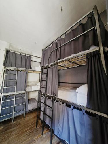 two bunk beds in a room with wooden floors at WHY NOT NUEVA CORDOBA in Cordoba