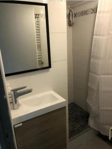 ein Badezimmer mit Waschbecken und Spiegel in der Unterkunft Le Nid, petit studio cosy et central in Besançon