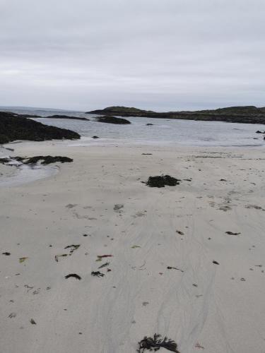 a beach with footprints in the sand and water at Tigh George in Lettermore