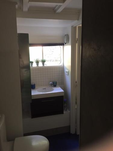une salle de bain avec un lavabo et une fenêtre dans l'établissement Charming Studio on House Boat, à Neuilly-sur-Seine