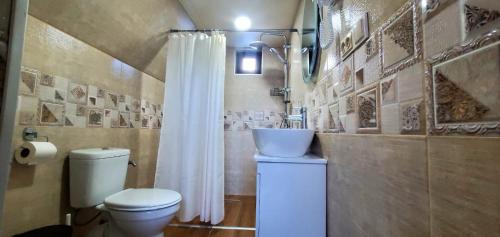 ein Badezimmer mit Toilette, Waschbecken und Dusche in der Unterkunft Mountain hut in Kazbegi in Kazbegi