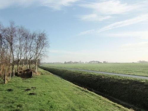 a field with a cow sitting in the grass next to a road at Ferienwohnung Krabbe 1 in Bensersiel mit Garten & Terrasse in Holtgast