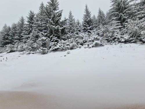a snow covered field with trees in the background at AA Frame Retreat Fundata in Fundata