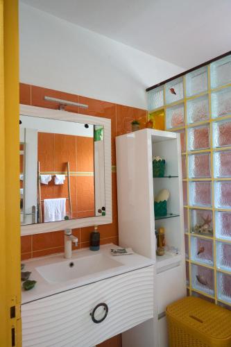 a bathroom with a white sink and a mirror at Le Paradis de Zette in La Trinité