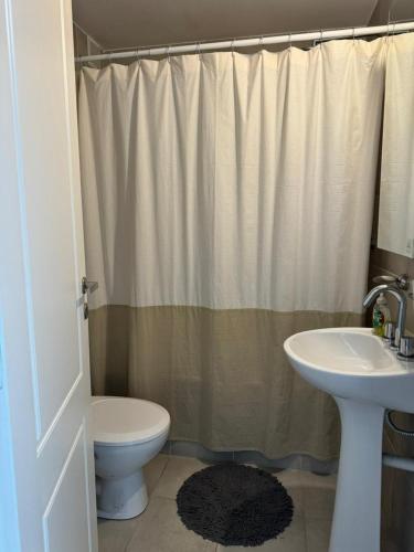 サンタフェにあるDepto de un dormitorio - MAYO SURのバスルーム(洗面台、トイレ、シャワーカーテン付)