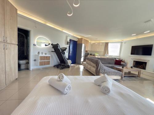 a room with a bed and a living room at Sunny Home Private Jacuzzi Hydromassage, Fireplace, Acropolis & Lycabettus View, Underground Parking, 300m Metro Peristeri in Athens