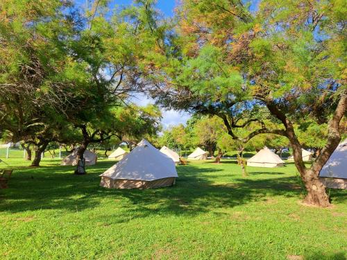 a group of tents in a field with trees at Bearsu Nature Almoxarife in Horta