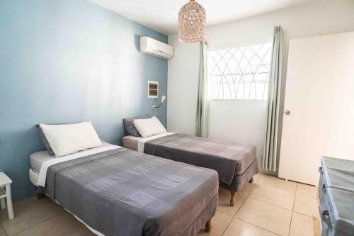 two beds in a room with blue walls and a window at Botanical Apartment Central Boho style 2 pools in Willemstad