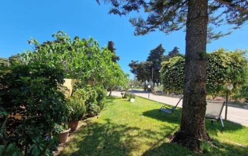 Zahrada ubytování Meraviglia d'Otranto