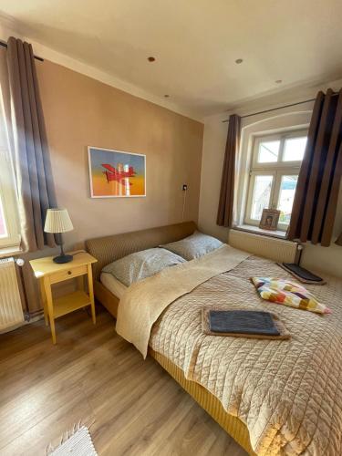 a bedroom with a bed and a table with a lamp at Apartmány Malý Princ in Horní Blatná