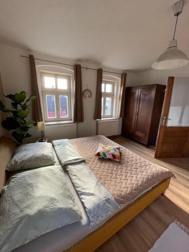 a large bed in a bedroom with two windows at Apartmány Malý Princ in Horní Blatná
