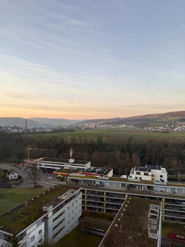 a view of a city with buildings and a field at Skyline Retreat Jedes Zimmer mit TV in Baden