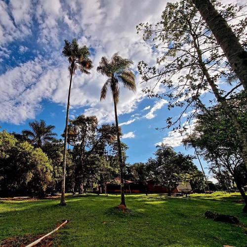 アラシャーにあるÁrea de camping Espaço Soulの曇空の公園内のヤシの木