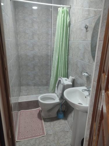 a bathroom with a shower and a toilet and a sink at Комплекс Изумруд in Astana