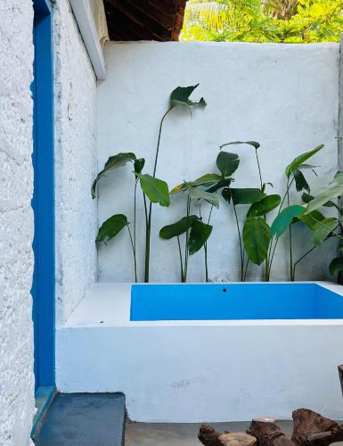 Сад в Liv Inn Iyra - Boutique Stay
