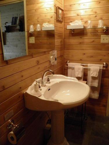 a bathroom with a sink and a mirror at Westwind Inn on the Lake in Buckhorn