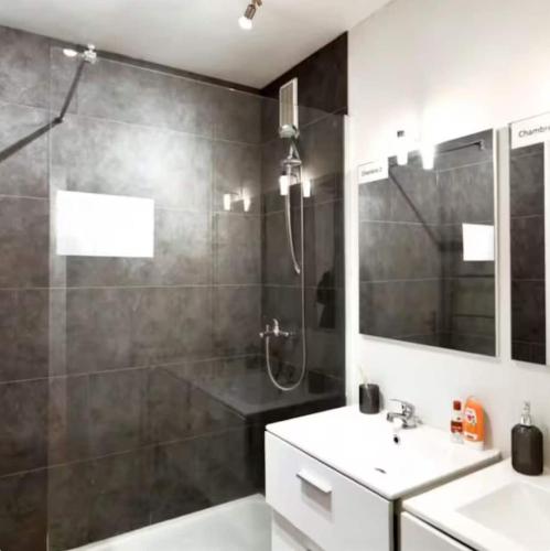 une salle de bain avec douche et lavabo dans l'établissement Simple et confortable, à Saint-Brieuc