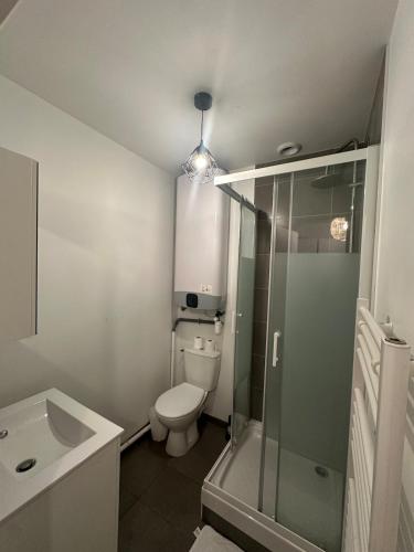 une salle de bain avec toilettes, lavabo et douche dans l'établissement Petit refuge, à Saint-Brieuc