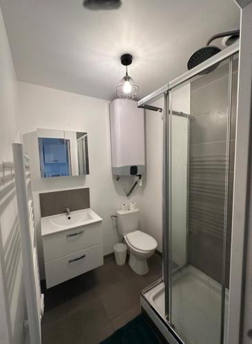 une salle de bain avec toilettes, lavabo et douche dans l'établissement Studio zen, à Saint-Brieuc