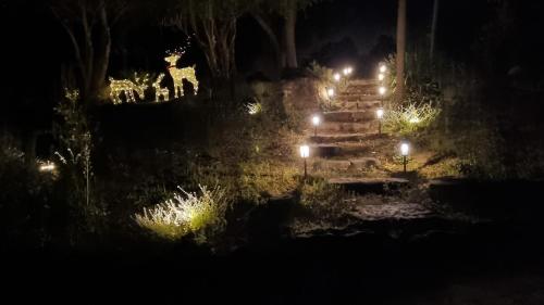 a group of stairs at night with lights at Camellia Grove Retreat in Mount Macedon