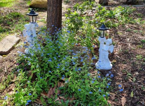 two white lights sitting next to a tree with blue flowers at Camellia Grove Retreat in Mount Macedon