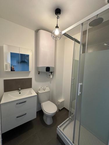 une salle de bain avec toilettes, lavabo et douche dans l'établissement Coin cosy, à Saint-Brieuc