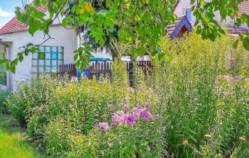 einen Garten mit Blumen vor einem Haus in der Unterkunft Ferienhaus Mirow Ot Qualzow in Qualzow