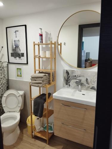 une salle de bain avec un lavabo et un miroir et des toilettes dans l'établissement La Rose du Bel Homme, à Rocroi