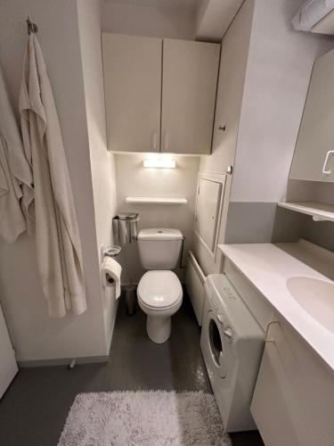a small bathroom with a toilet and a sink at Hygge Ski-in-Ski-out med udsigt in Avoriaz