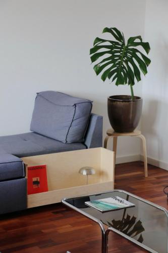 a living room with a couch and a potted plant at Luxury Condo in Setúbal in Setúbal