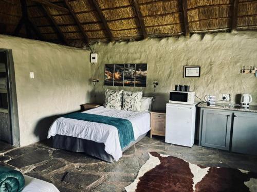 a bedroom with a bed with a microwave and a sink at Safari Park Guest Farm in Colesberg