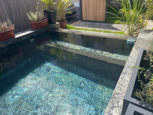 a pool of water with some plants in it at Sam & Chlo Studio & Appartment - Grand Baie - Mauritius in Grand Baie