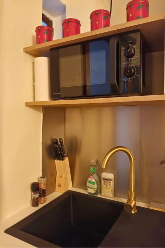 un comptoir de cuisine avec un évier et un micro-ondes dans l'établissement Chez Juliette au cœur du Vieux-Lyon, à Lyon