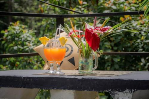 two glasses of orange juice and flowers on a table at Lily Villa Ella in Ella