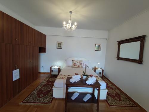''Athens Light'' luxury spacy appartment, Agia Paraskevi