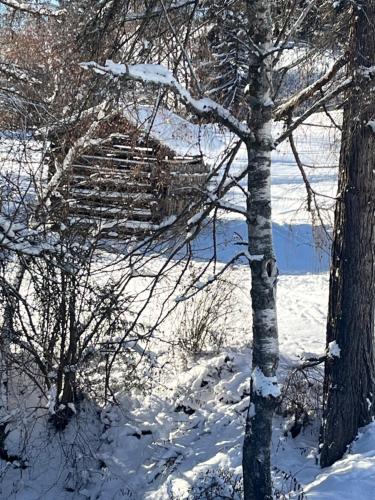 a tree with snow on its branches in a snow covered field at Small attic apartment close to Lake and Mountains Fussach in Fußach
