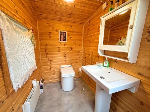 a bathroom with a toilet and a sink at Hus Upplångö in Figeholm
