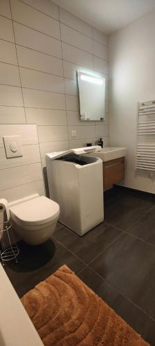 une salle de bain avec toilettes et lavabo dans l'établissement Le Petit Eden - Bâle - Aéroport, à Saint-Louis