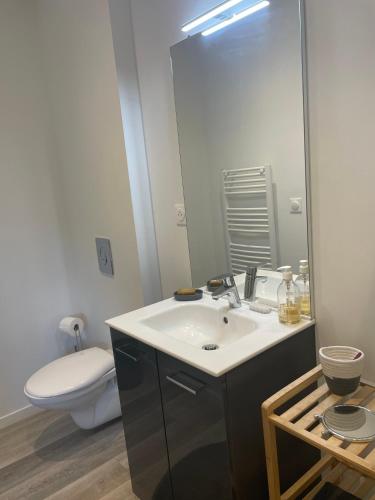 une salle de bain avec un lavabo, des toilettes et un miroir dans l'établissement Gîte à la campagne Les Grandes Maisons Espace jacuzzi hammam SPA, à Lorris