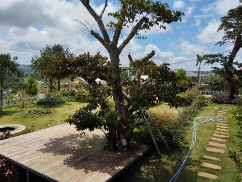 a tree on a wooden deck with a hose at Đồi Mây Homestay Bảo Lộc in Bao Loc