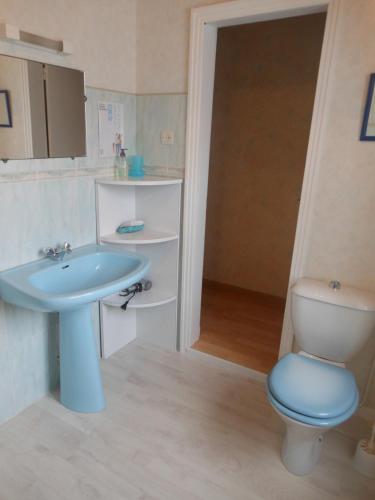 une salle de bain avec un lavabo bleu et des toilettes dans l'établissement gîte enso des Paoulìn, à Ustou
