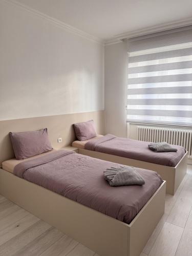 une chambre avec deux lits et une fenêtre dans l'établissement Appartement des 3 pays. 2 mn de Bâle+ Free parking, à Saint-Louis