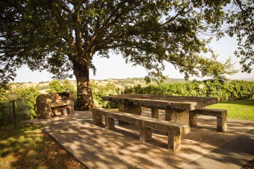 two wooden benches sitting under a tree in a park at Bio Agriturismo Poggio Aione in Saturnia