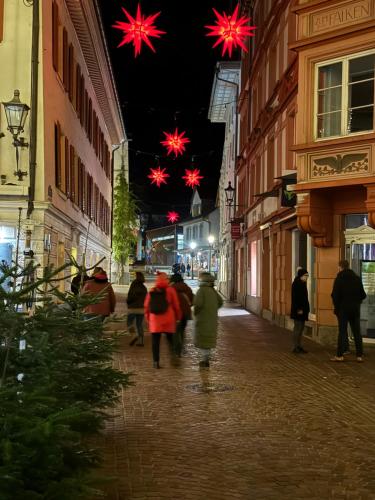 Hosté ubytování Adlerhorst4
