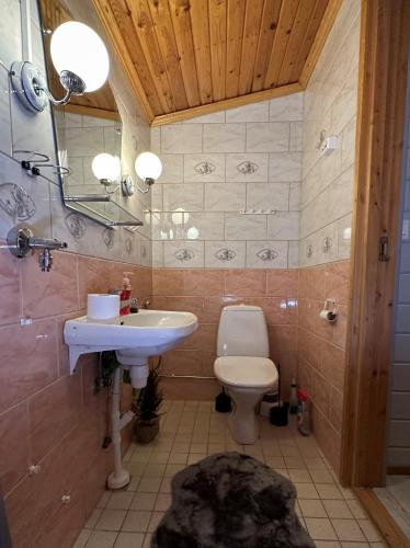 a bathroom with a sink and a toilet at Chalet Pellonranta 1 in Pello