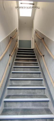 a staircase in a building with blue steps at Am Storchennest in Ummendorf